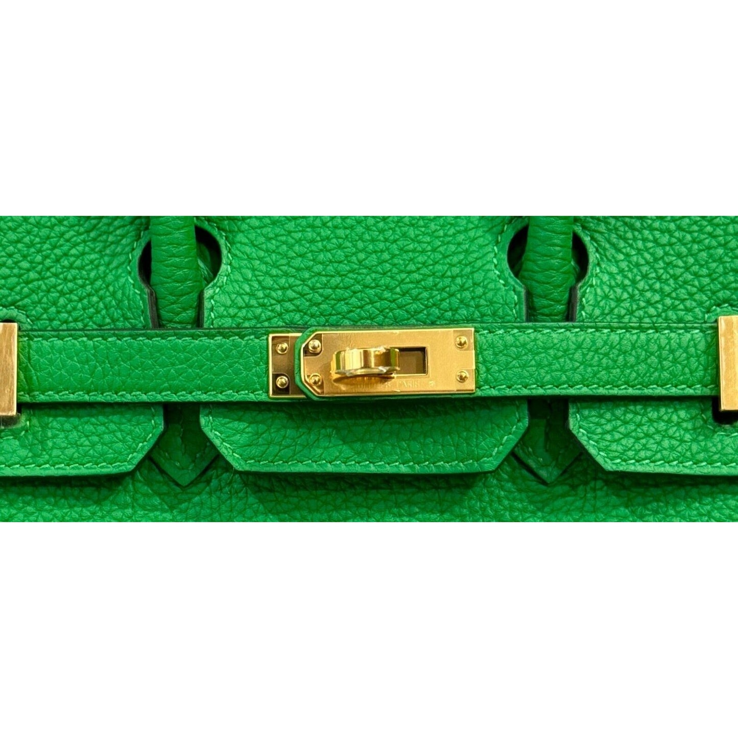 Hermes Birkin 25 Bamboo Bambou Green Togo Leather Gold Hardware Handbag