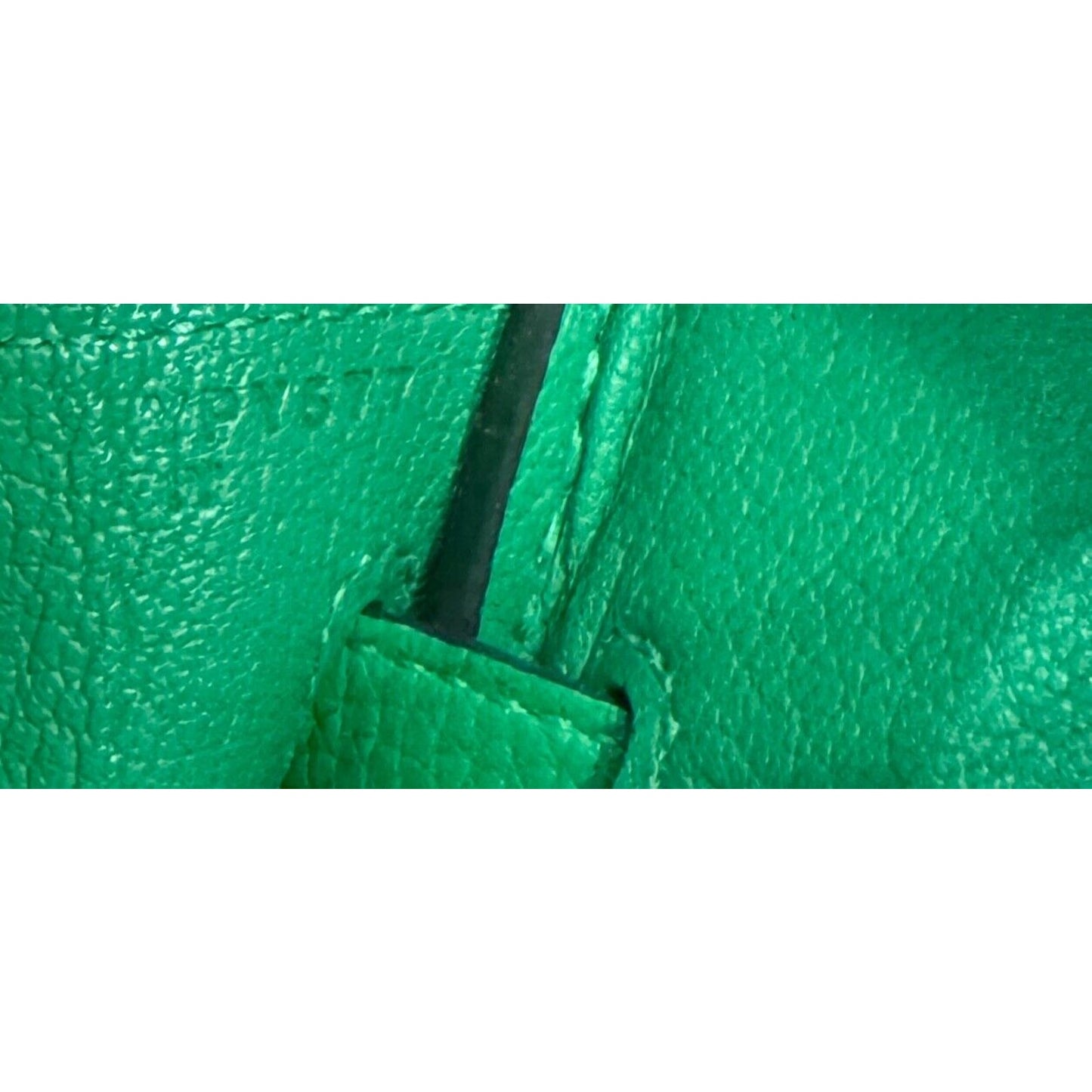 Hermes Birkin 25 Bamboo Bambou Green Togo Leather Gold Hardware Handbag