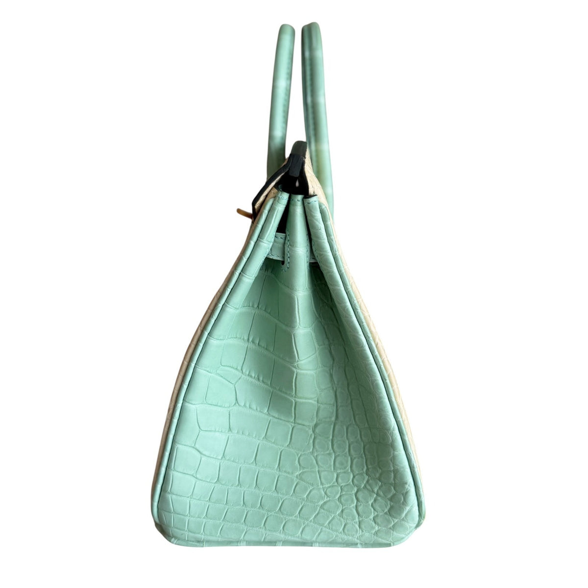 Hermes Birkin 25 Special Order Matte Alligator Vanille & Vert D'eau Brushed Gold