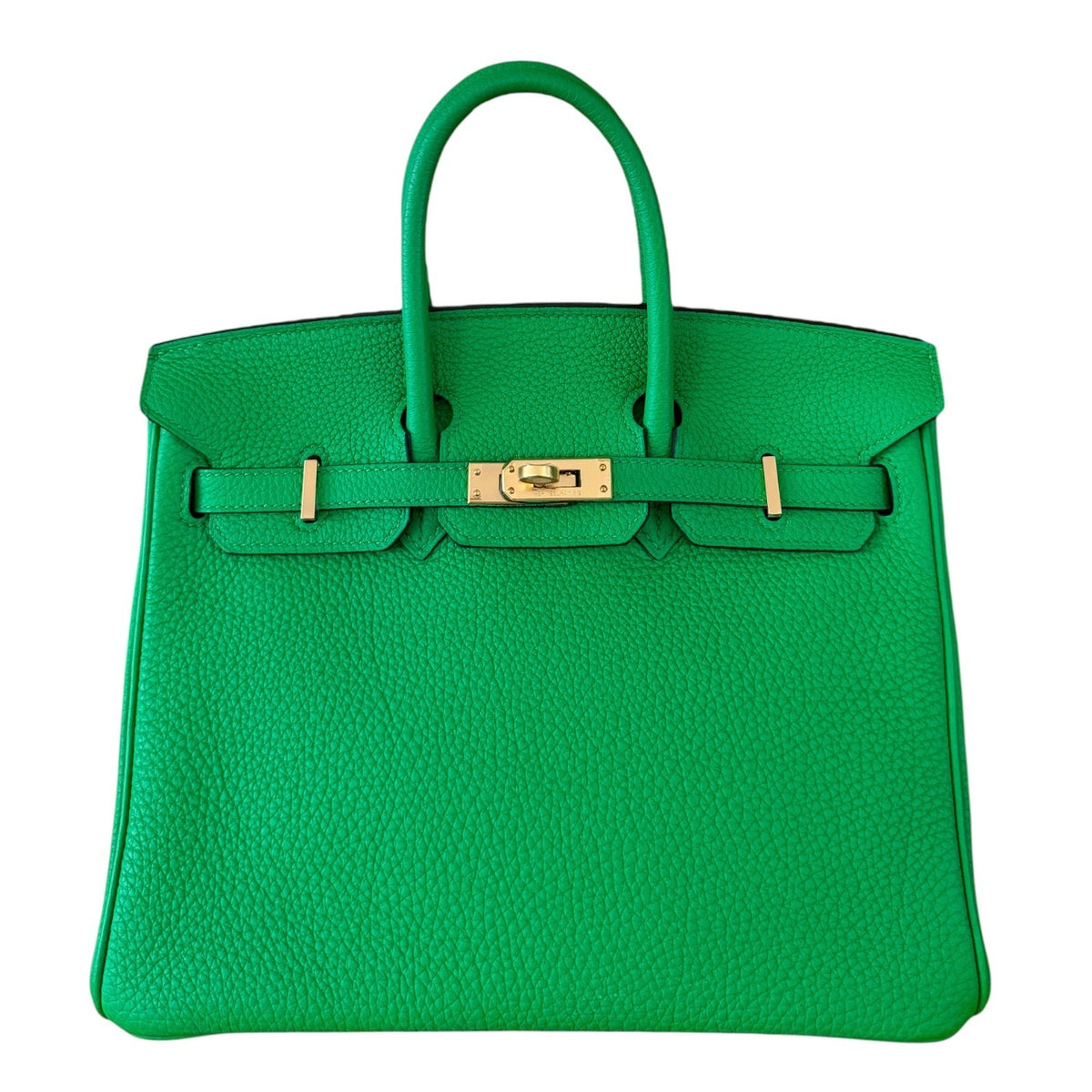 Hermes Birkin 25 Bamboo Green Togo Leather Gold Hardware Rare