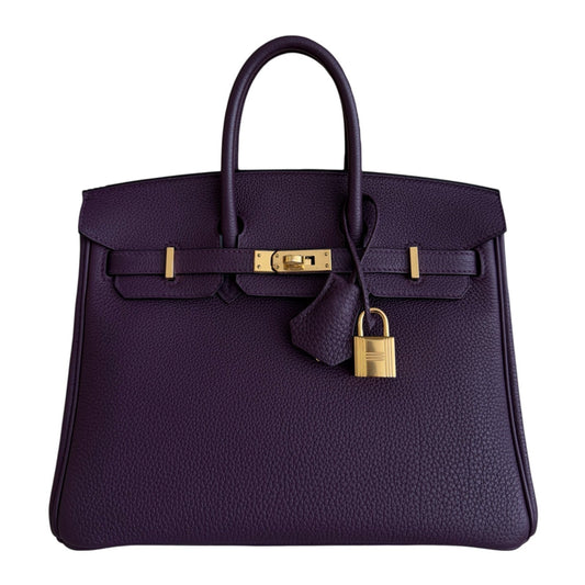 Hermes Birkin 25 Casis Purple Togo Leather Gold Hardware RARE