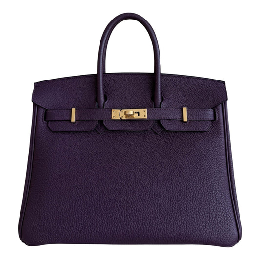 Hermes Birkin 25 Casis Purple Togo Leather Gold Hardware RARE