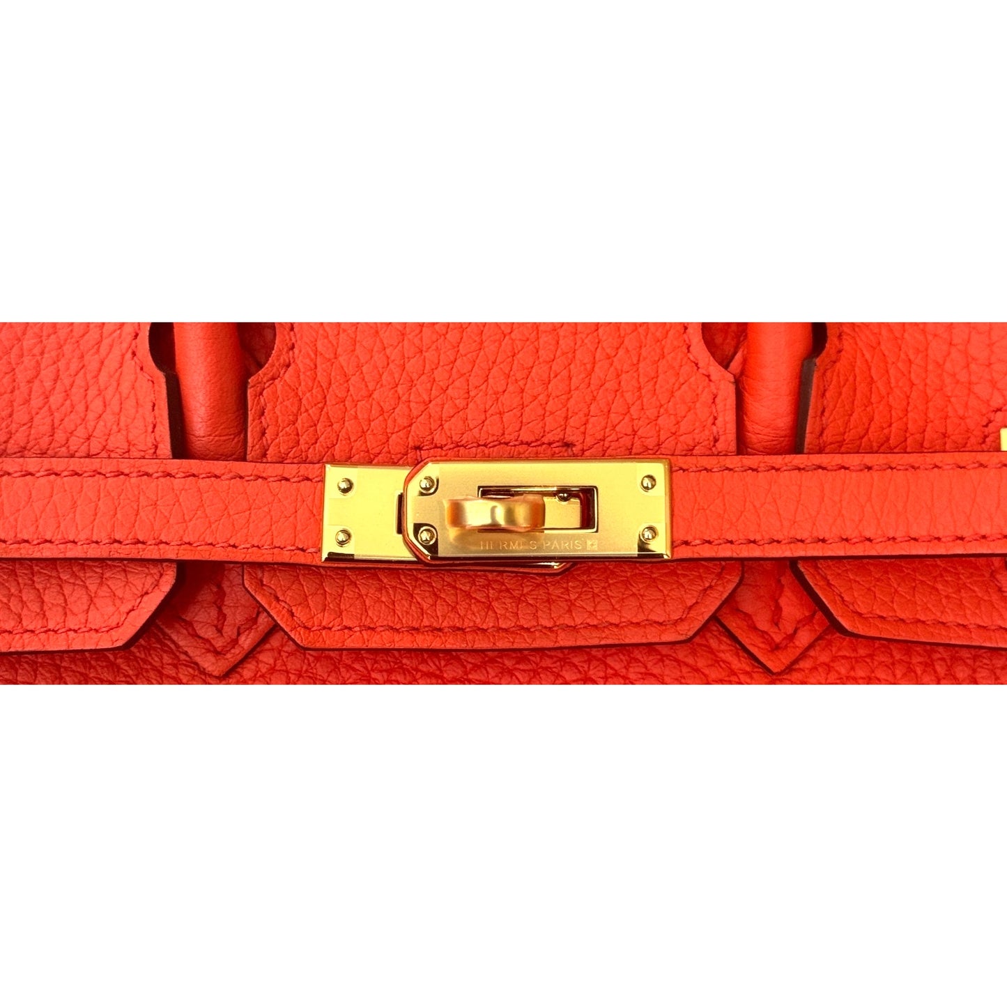 Hermes Birkin 25 Poppy Orange Togo Leather Gold Hardware